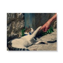 리틀하이커 Cat 캔버스 프린팅 액자 A3W36 13