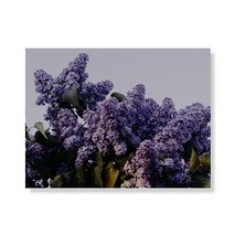 리틀하이커 flower 캔버스액자 A3W35 137