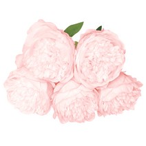 마켓감성 조화 다섯송이 모란, 타입2