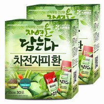 굿허브 조은약초 자연을 담는다 스틱형 차전자피환, 3g, 60포
