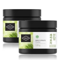 라돌체비타 새싹보리 분말, 120g, 2개입