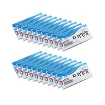 마그피아 자석명찰 대 80 x 30 mm, 혼합 색상, 20개입