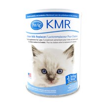 [케이엠알파우더] 펫에그 고양이 KMR 파우더 초유 분유 340g, 2개