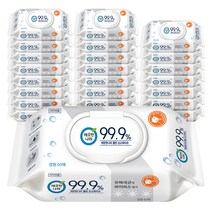 깨끗한나라 클린 손소독티슈 캡형, 60매, 24팩