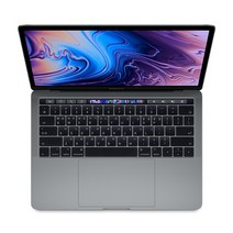 Apple 2019 맥북 프로 터치바 13, 스페이스 그레이, 코어i5 8세대, 인텔 Iris Plus 그래픽스 655, 512GB, 16GB, MAC OS, Z0WR000E8