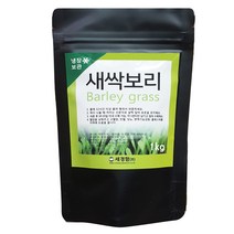 세경팜 새싹보리 씨앗 1kg, 1개