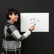 붙이는 화이트보드 시트지, 화이트