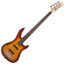 dexterGUITARS JJ 베이스 기타 + 구성품 11종, TS