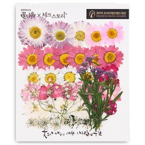 체크스토리 압화꽃 공예 C타입, 04 신부