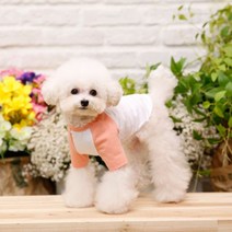 펫디자인 라인 나그랑 강아지 티셔츠, 피치