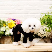 펫디자인 강아지 스포츠 올인원, 블랙