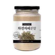 신선약초 차전자피분말, 1개, 250g