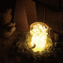 도시정원 LED 아이스전구 웜 30구 2p세트, 투명 + 화이트