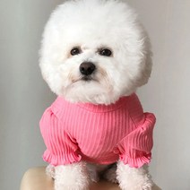 바이담수미 강아지 골지퍼프 방울 티, 핫핑크