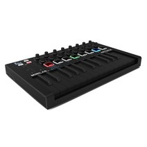 ARTURIA MINILAB MK2 미니 마스터 건반 DEEP BLACK, 혼합색상