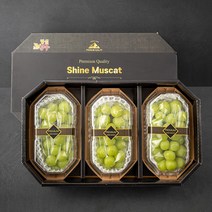 명실상주 샤인머스캣 3수, 2kg, 1박스