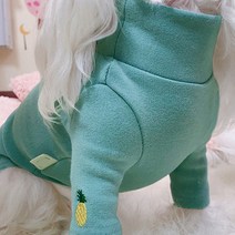 베이비도그 파인애플폴라티 DT042, 민트