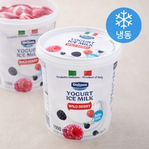 달라나 아이스 밀크 와일드 베리 (냉동), 1L, 1개