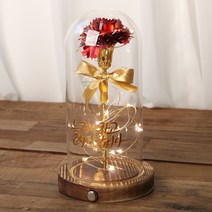 프리저브드 카네이션 유리돔 홀로그램 카네이션 + 장미 LED 무드등 유리돔 버튼형, 와인골드 늘 감사하고 사랑합니다