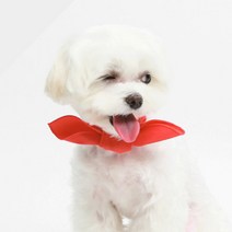 에이미러브즈펫 반려견 폼스카프 S, 퓨어레드, 1개