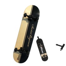 스위스비기뉴 스케이트보드 + 가방 + 툴세트, 럭셔리