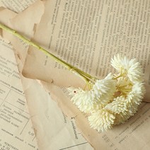 루비코코 조화 퐁퐁 국화 2p, 화이트