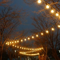 맥아트 LED 스트링 라이트 전등선 10m 10소켓 + 인치구 3W 주광색 10p, 블랙(전선)