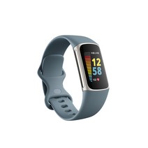 핏빗 Charge5 스마트밴드, 스틸블루, 26.43mm, GPS