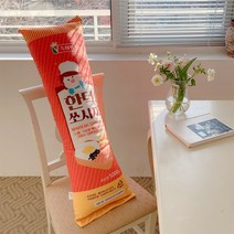리더스트리 한턱 쏘시지 롱 바디필로우, 혼합색상