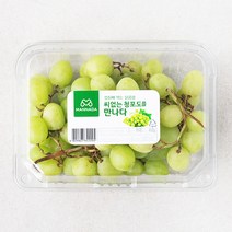만나다 미국산 씨없는 청포도, 450g, 1개