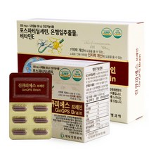 진큐피에스 브레인 혈행 혈액 순환 포스파티딜세린 영양제 30g, 60정, 2개