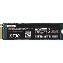 이메이션 NVMe M.2 PCle Gen 3.0x4 SSD, X730, 120GB