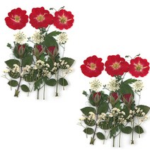 프레스코21 압화 종합팩, K101, 2개