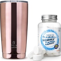캐리보틀 스탠다드 스테인레스 보온보냉 텀블러 600ml + 발포세정제 5g x 30p 세트, 글로시와인(텀블러)