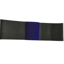 찌니찌니 바디 턴 골프 스윙밴드, 블루