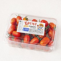 달콤한농부 스테비아 대추 방울 토마토, 1kg, 1개