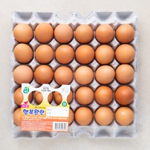 녹색계란 왕란 30구, 1개