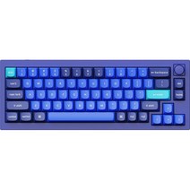 키크론 Q2 Knob Frame RGB 핫스왑 적축 키보드 풀패키지, 네이비 블루, 텐키리스, Q2 O1