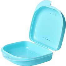 다르니나 휴대용 틀니 보관 케이스, 민트, 1개