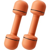 순잠 무게조절 논슬립 아령 오렌지 2p, 2kg