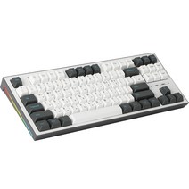 COX 기계식 텐키리스 RGB 게이밍 키보드 적축, CK01 TKL PBT, 그레이 + 화이트