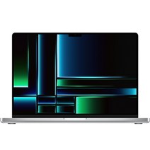 Apple 2023 맥북 프로 16, 실버, M2 Pro 12코어, 512GB, 16GB, MAC OS, Z1770003K