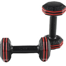 반석스포츠 레드라인 아령 2p, 2.5kg, 2개