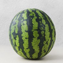 부성 당도선별 수박, 5kg 미만, 1개