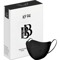 비앙브리제 프리미엄 방역용 마스크 성인용 KF94 대형, 10개입, 1개, 모던 블랙