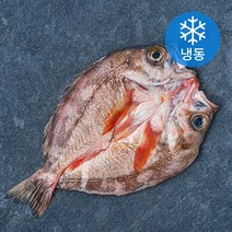 양포어장 국내산 손질 반건조 펼친열기 (냉동), 200g, 1개