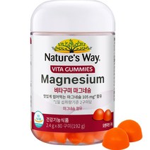 네이처스웨이 GC녹십자웰빙 비타구미 마그네슘 오렌지맛 192g, 80정, 1개