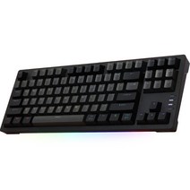 앱코 RGB BAR 기계식 유선키보드 갈축, 텐키리스, 다크그레이, AN01T