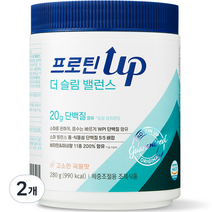 프로틴업 더 슬림 밸런스 체중조절용 프로틴, 2개, 280g