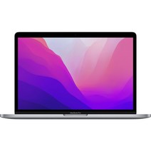 Apple 2022 맥북 프로 13 M2, 스페이스 그레이, GPU 10코어, 256GB, 16GB, Z16R0001L